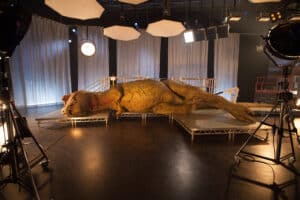 The T. rex rests under the glare of lights in the specially constructed biology lab.
(National Geographic Channels/Stuart Freedman)