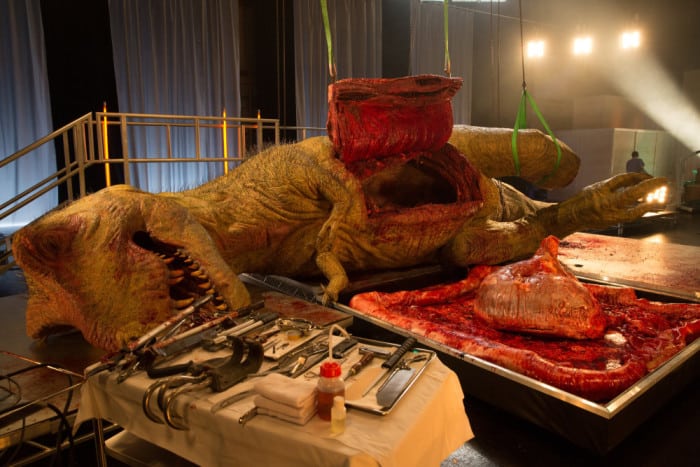 UNITED KINGDOM - The T. rex’s stomach and intestines have been removed.
(photo credit: National Geographic Channels/Stuart Freedman)